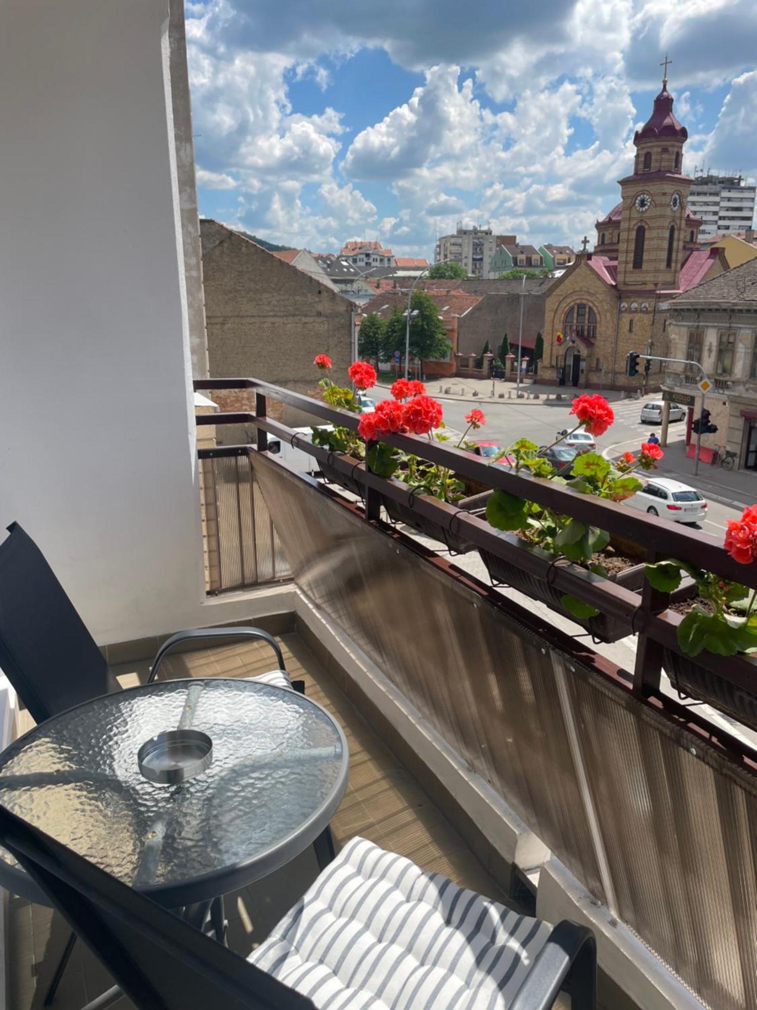 Sunny Apartment Vrsac Exterior photo